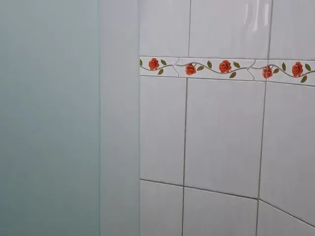 Imagem 11: Belissíma Casa de 3/4, Sendo Um com Suite, Sala, Copa,/ Garage Bairro Serraria Brasil