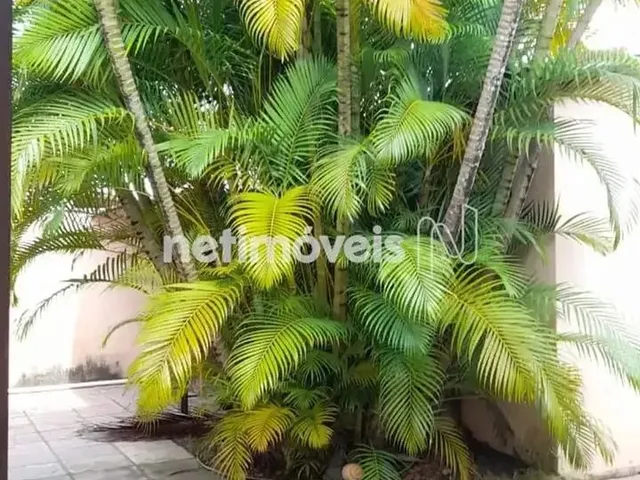 Imagem 3: Casa Mobiliada com 4 Quartos no Conjunto Centenário - para Venda Ou Aluguel