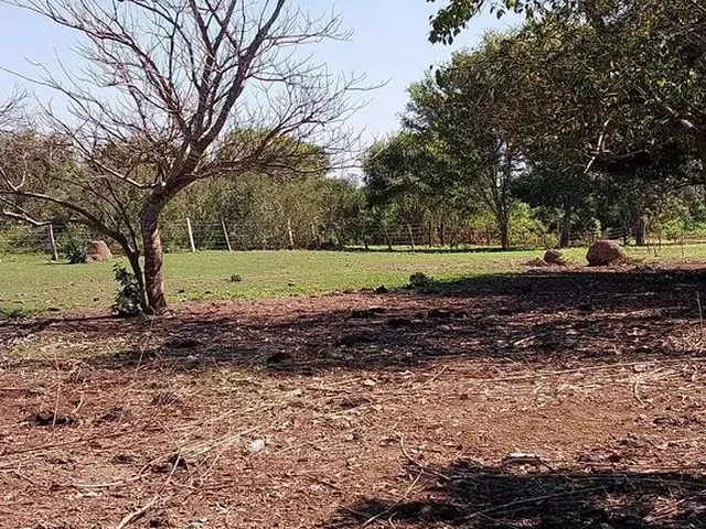 Imagem: Vendo Pesqueiro Lote no Pantanal Mt