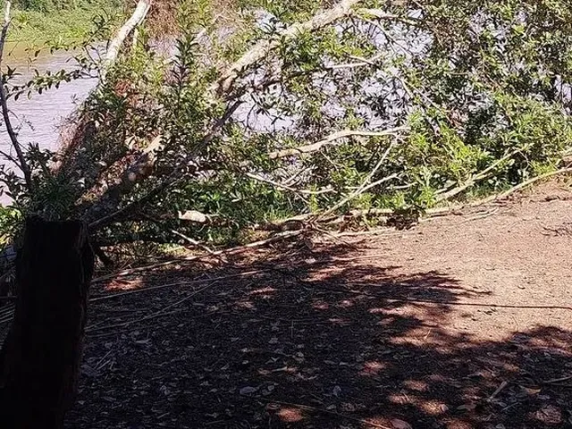 Imagem 2: Vendo Pesqueiro Lote no Pantanal Mt