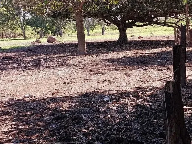 Imagem 3: Vendo Pesqueiro Lote no Pantanal Mt