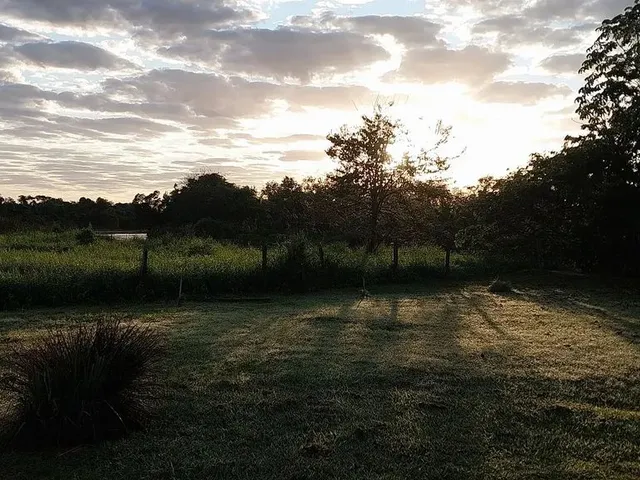 Imagem 4: Vendo Pesqueiro Lote no Pantanal Mt