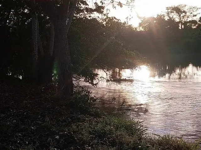 Imagem 5: Vendo Pesqueiro Lote no Pantanal Mt