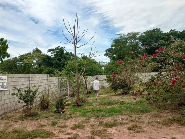 Imagem: Campestre Manoa
