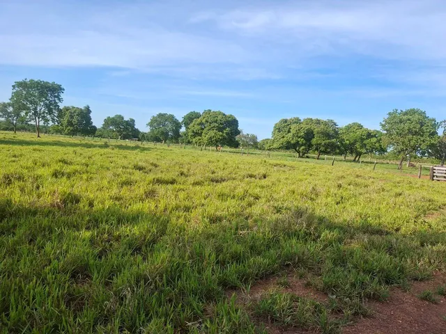 Imagem 2: Linda Fazenda de 266 Hectares...a 6.600.000,00