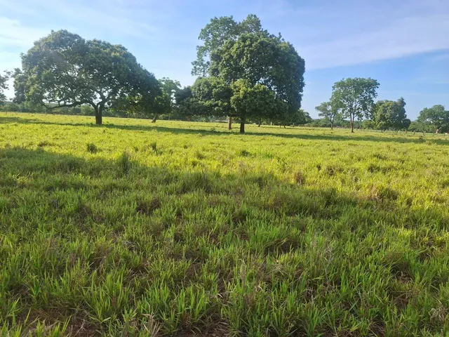 Imagem 3: Linda Fazenda de 266 Hectares...a 6.600.000,00