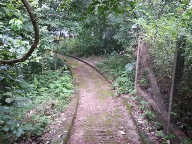 Imagem 9: Chácara a Venda - Chácara Lirio da Paz - Chácara para Eventos / Pescaria / Lazer