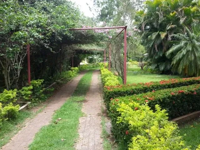 Imagem 13: Chácara a Venda - Chácara Lirio da Paz - Chácara para Eventos / Pescaria / Lazer