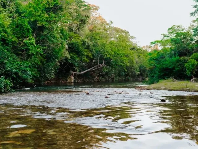 Imagem: Vendo Lote com Acesso Ao Rio Coxipó - Região