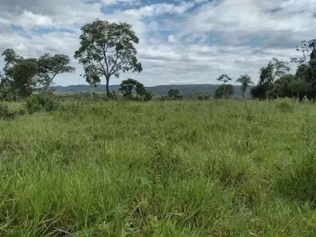 Imagem: Fazenda C/ 149He, C/ 80He Aberto, Terra