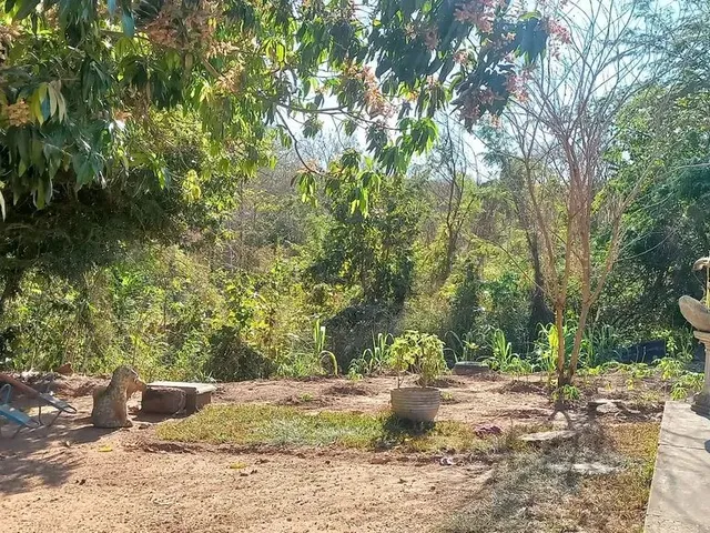 Imagem: Chácara no Coxipó do Ouro
