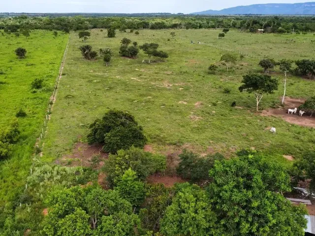 Imagem: Sítio C/ 12,5He, Beira de Rio, 50Km de