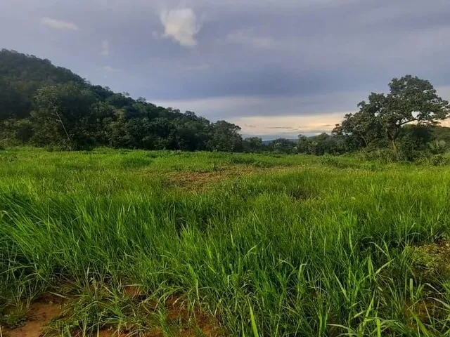 Imagem: Vendo Sítio 50 Hectares