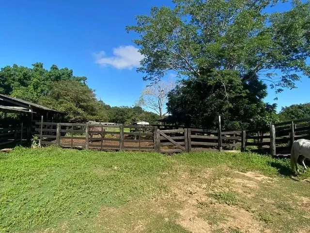 Imagem: Sitio 22Ha Coxipó do Ouro