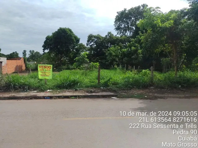 Imagem: Vendo Lote na Rua 63 Pedra 90