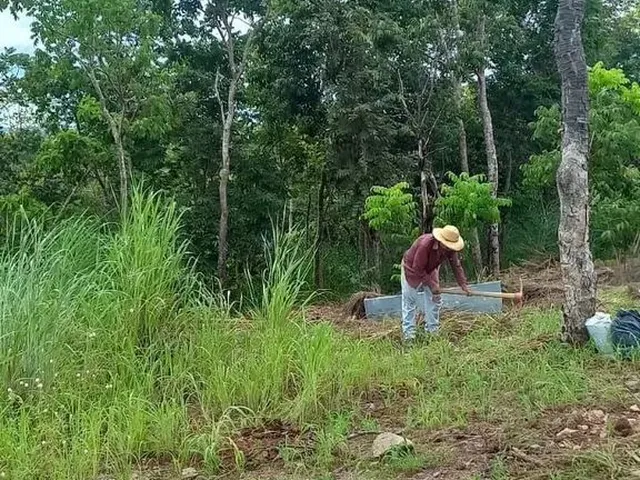 Imagem 15: Sitio À Venda Beira do Lago do Manso