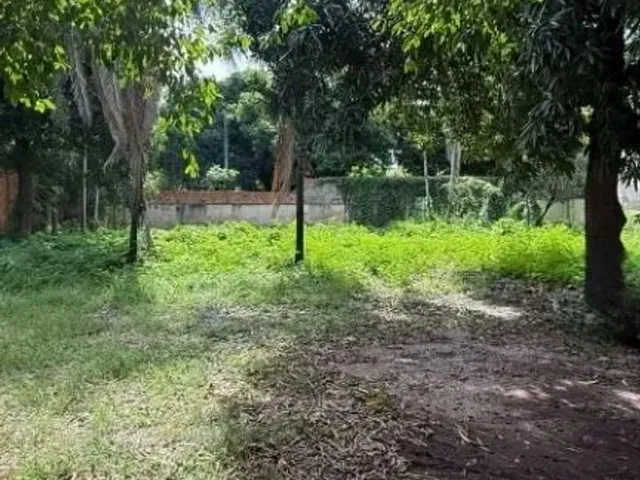 Imagem 2: Terreno - Venda - Centro Norte - Cuiabá/Mt
