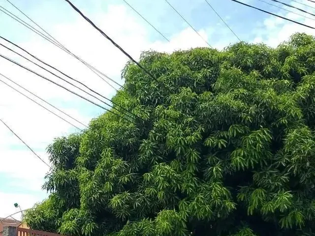 Imagem: Terreno Região do Cpa III