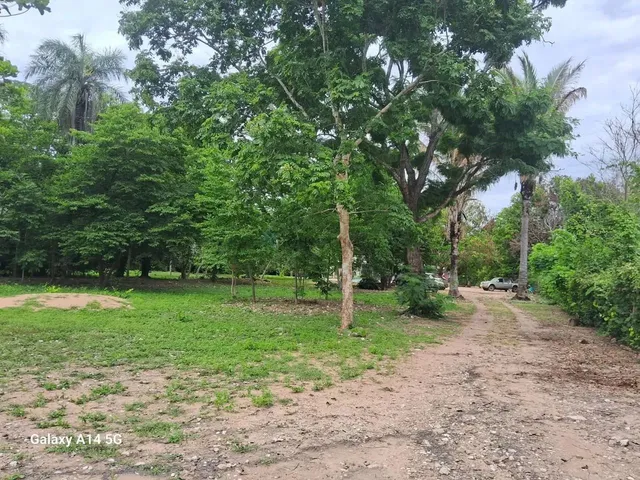 Imagem: Chácara de 5 Hectares na Região da Comunidade