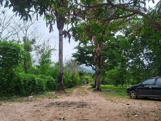Imagem 4: Chácara de 5 Hectares na Região da Comunidade de São Jerônimo em Cuiabá Mt