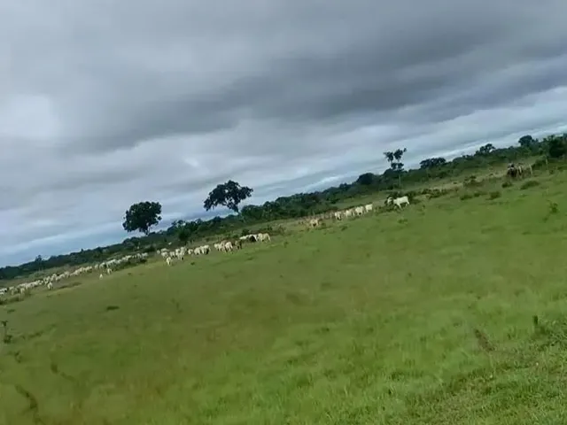 Imagem: Fazenda com 517 Hectares na Região Entre