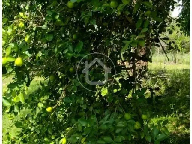 Imagem: Sitio com 10 Hectares - Região do Sucuri