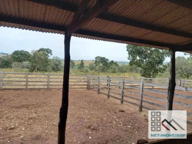 Imagem: Fazenda (324 Hectares), em Vargem Grande