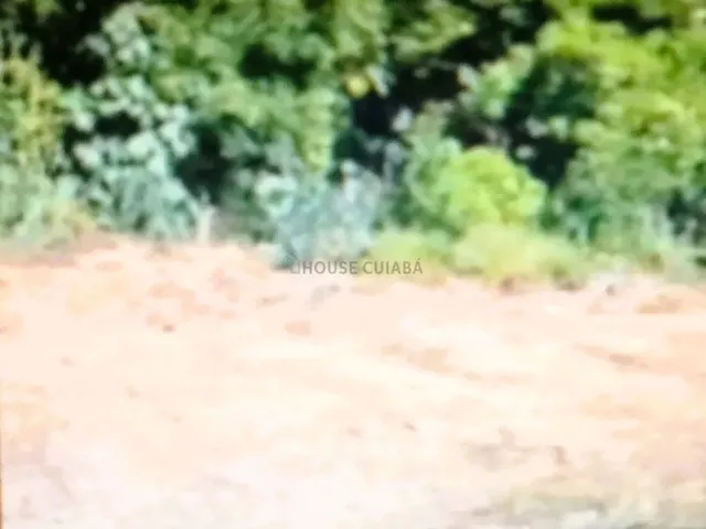 Imagem 4: Otima Oportunidade - Terreno no santa Rosa