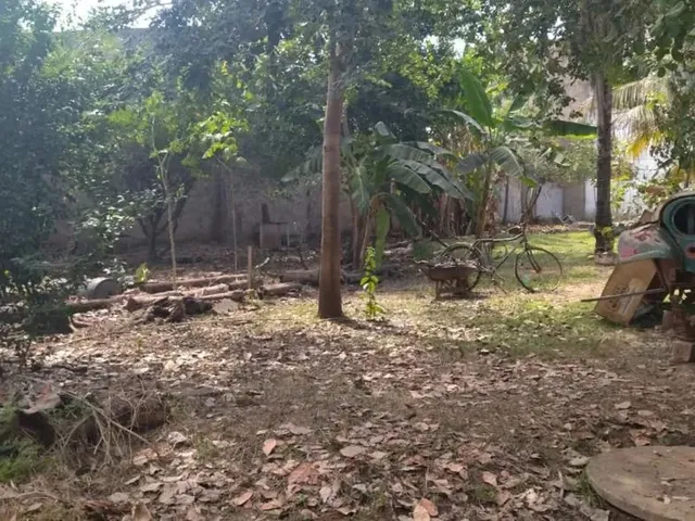 Imagem: Vendo Terreno Vila Guimaraes - 484,75Mt