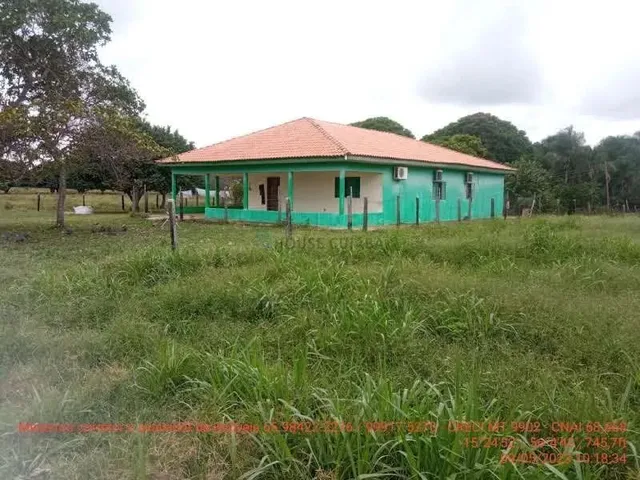Imagem: Fazendinha de 50 Hectares Próximo da Cidade