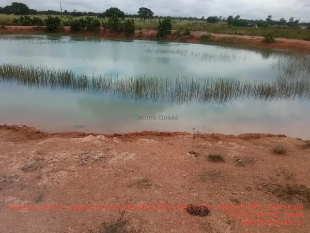Imagem 16: Fazendinha de 50 Hectares Próximo da Cidade de Cuiabá Mt