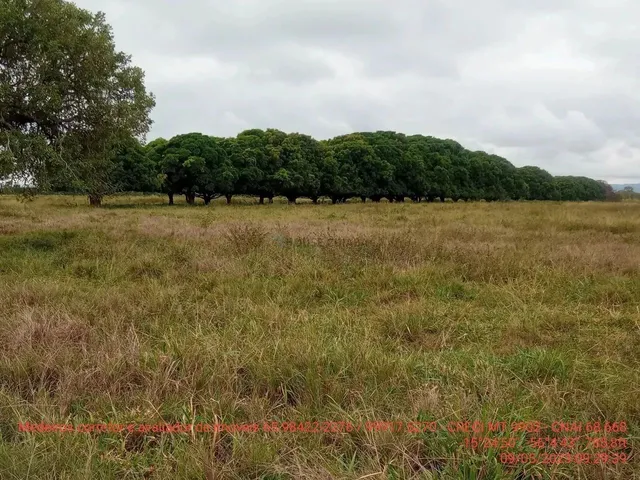 Imagem 8: Fazendinha de 50 Hectares Próximo da Cidade de Cuiabá Mt