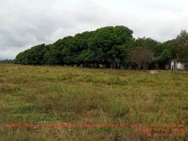 Imagem 6: Fazendinha de 50 Hectares Próximo da Cidade de Cuiabá Mt