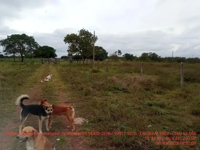 Imagem 14: Fazendinha de 50 Hectares Próximo da Cidade de Cuiabá Mt