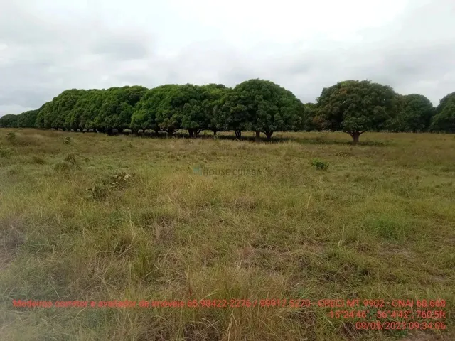 Imagem 12: Fazendinha de 50 Hectares Próximo da Cidade de Cuiabá Mt