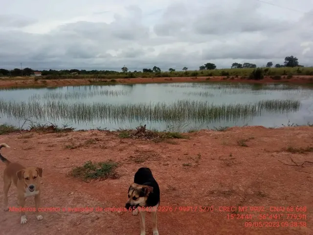 Imagem 2: Fazendinha de 50 Hectares Próximo da Cidade de Cuiabá Mt