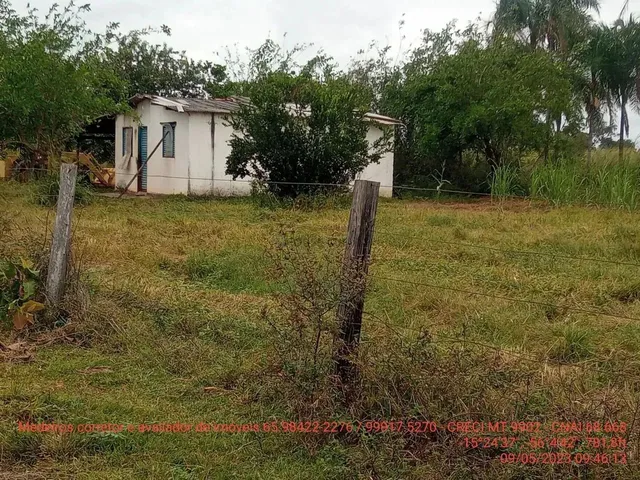 Imagem 13: Fazendinha de 50 Hectares Próximo da Cidade de Cuiabá Mt