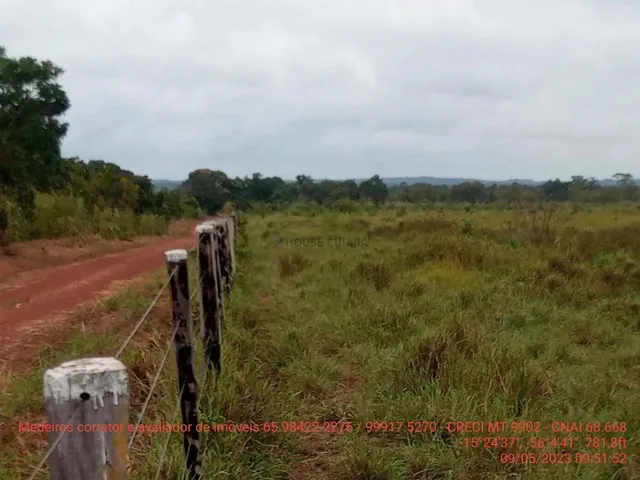Imagem 10: Fazendinha de 50 Hectares Próximo da Cidade de Cuiabá Mt