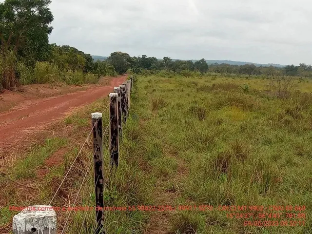 Imagem 5: Fazendinha de 50 Hectares Próximo da Cidade de Cuiabá Mt