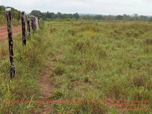 Imagem 7: Fazendinha de 50 Hectares Próximo da Cidade de Cuiabá Mt