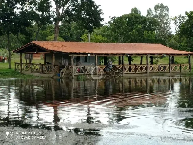 Imagem: Chácara com 10 Hectares