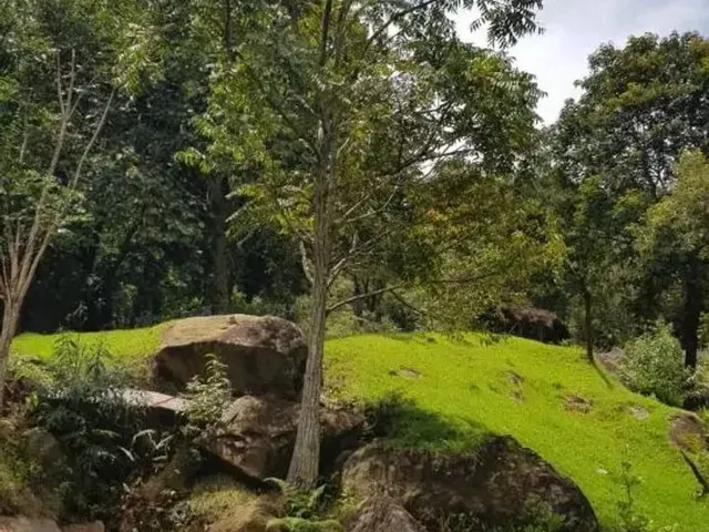 Imagem 3: Compre Casa Campestre em Moeda-Mg - Lindo Pomar com Jabuticaba e Muito Mais!