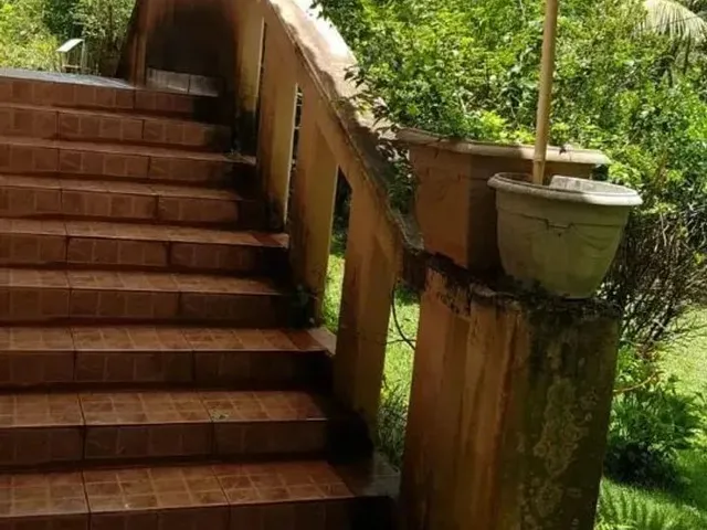 Imagem 4: Compre Casa Campestre em Moeda-Mg - Lindo Pomar com Jabuticaba e Muito Mais!