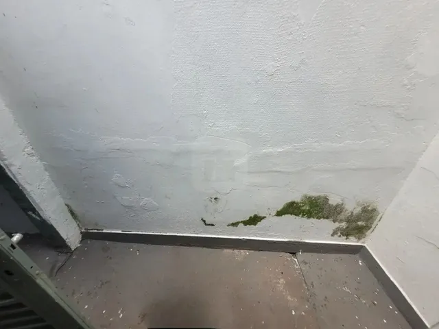 Imagem 4: Comodo Comercial para Locação no Bairro Centro