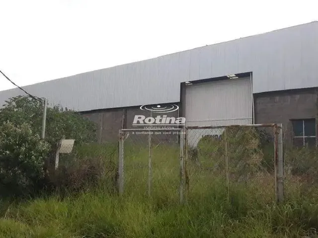 Imagem: Galpão para Alugar, Distrito Industrial