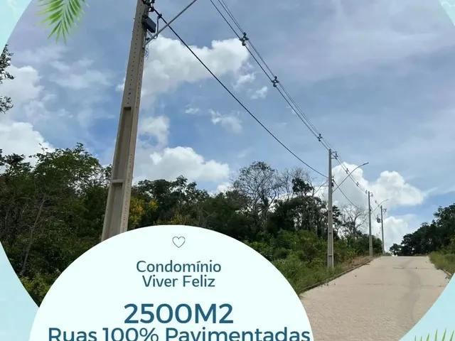 Imagem 2: Chácara 2,5000M2 Br 060