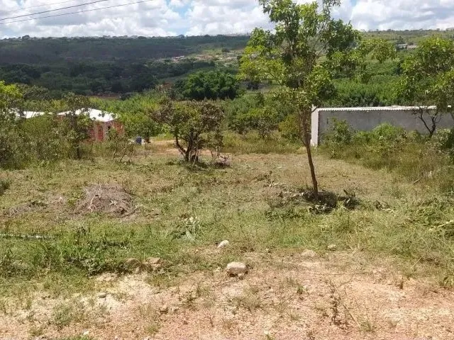 Imagem 3: Lote Kanegae &Amp;Quot;Riacho Fundo 1&Amp;Quot