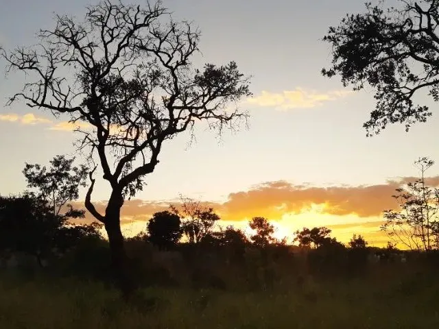 Imagem: Vendo Terreno 1.000 M² no Condomínio Mansões