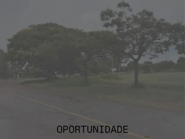 Imagem 3: Lote 1.000M2 Park Way Aeroporto