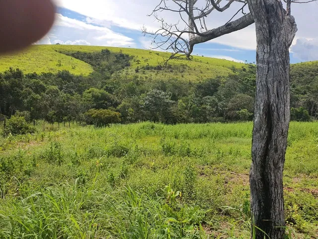 Imagem 6: Chácara Santo Antônio Descoberto